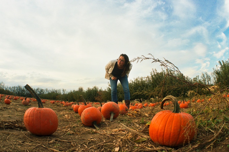 KJ_01-I hear Pumpkins.jpg